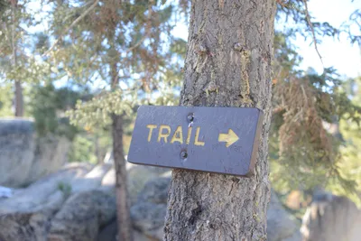 DSC_5098 (Large).JPG